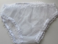 NYLON SEE THROUGH KNICKERS