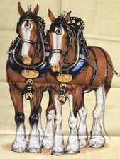 equestrian themed shire draft horses tea towel
