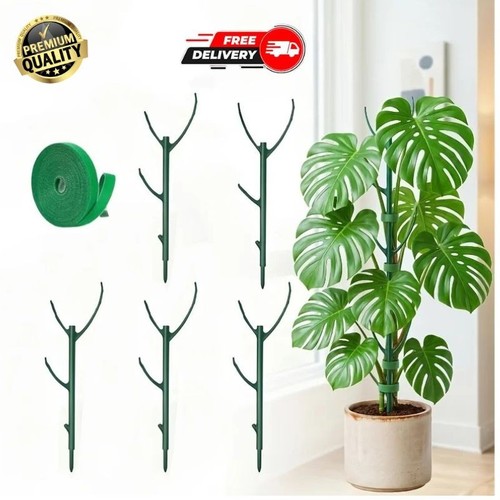 6pcs monstera plant support - monstera,