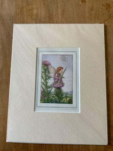 Cicely mary barker the - cicely,