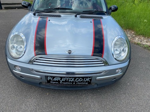 Bonnet stripes vinyl graphics - vinyl,