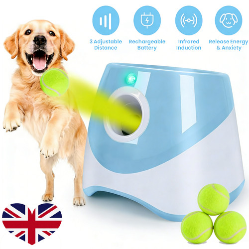 Dog automatic ball launcher - dog,