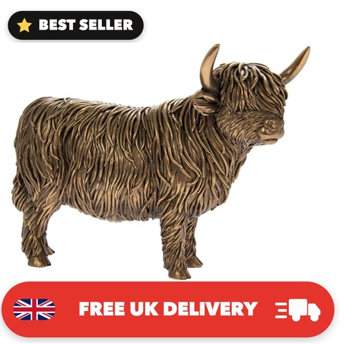 Reflections bronze highland - reflections,