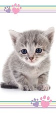 Cute Kitten Print Bath Beach