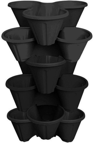 Set black strawberry - 6,