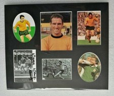 DEREK DOUGAN WOLVES & NORTHERN