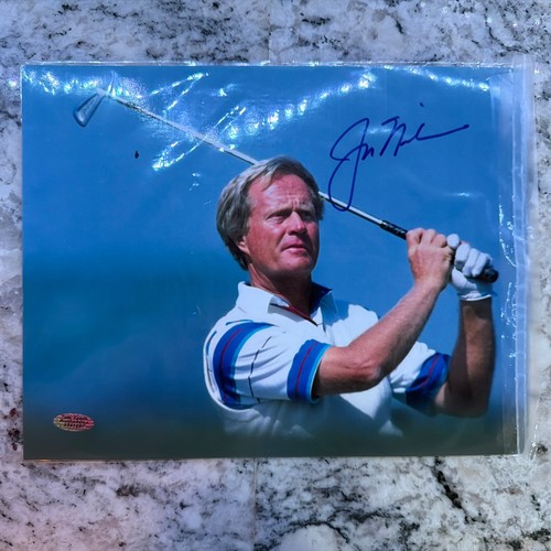The golden bear jack - golden,