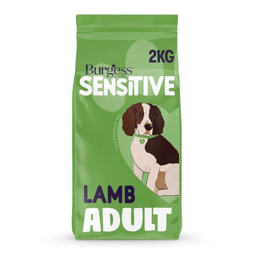Burgess sensitive dog - burgess,