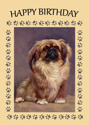 Pekingese dog birthday card - pekingese,