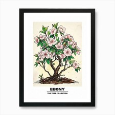 Ebony tree storybook - ebony,