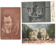 Mixed Lot 3 Vintage  Postcards