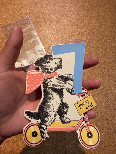 Unbranded dog scooter - on,