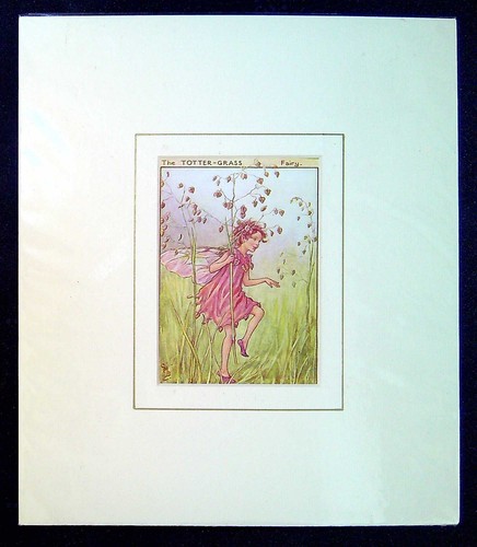 Barker cicely mary - cicely, mounted