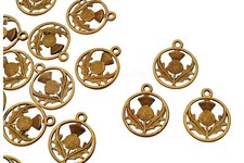 Golden Tibetan Scottish