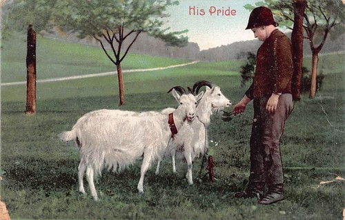 Family history postcard - history,
