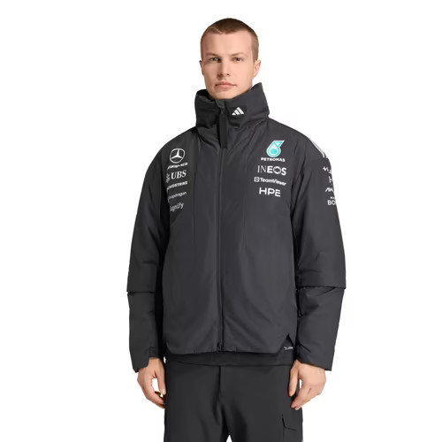 Mercedes amg petronas adidas - amg,