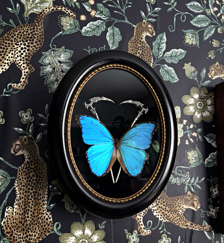 Scythe detail taxidermy