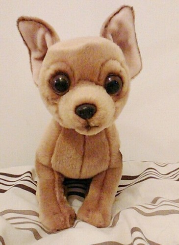 Toy chihuahua h gift - chihuahua,,