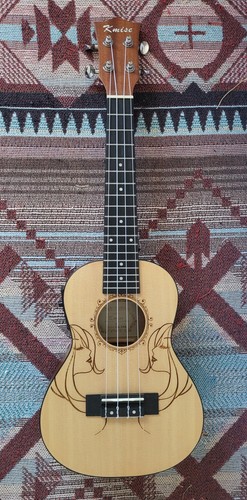 Electro acoustic concert - electro-acoustic,