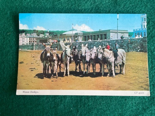 Weston super mare - weston, donkeys