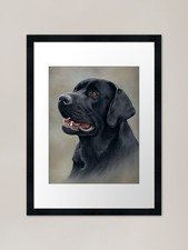 Black Labrador Pastel Art