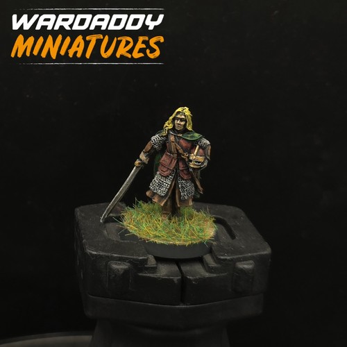 Pro painted warhammer lotr - pro,