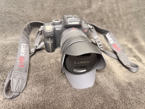 Panasonic lumix vario hd - g,