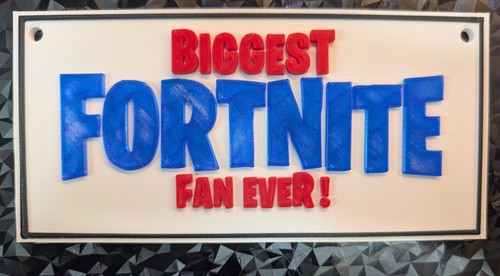 Fortnite biggest fan - , |