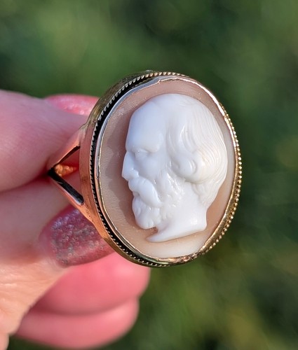 Large victorian shell - victorian,