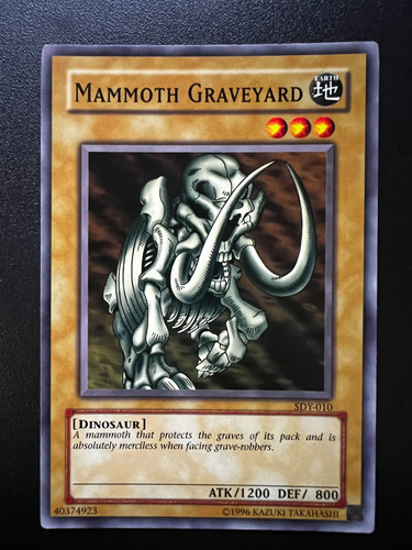 Mammoth graveyard sdy 010 - mammoth, sdy-010