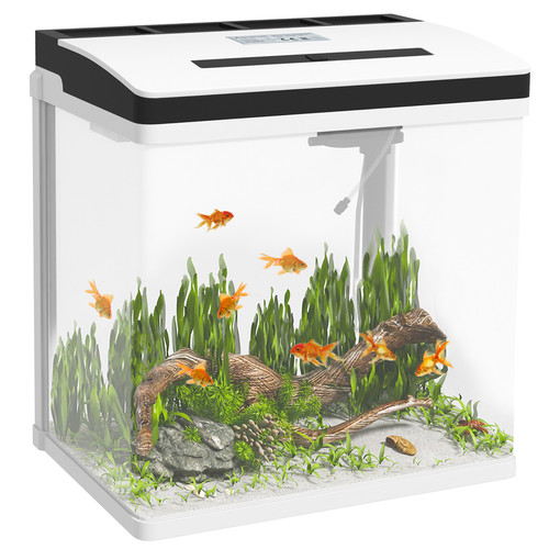 Glass fish tank with filter - with,