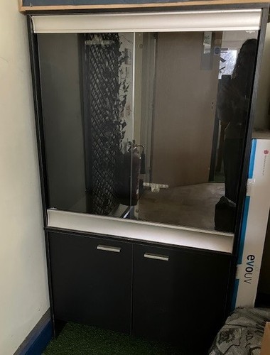 Tall chameleon gecko viv - tall,