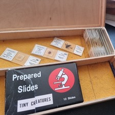 Biology glass prepared - biology,
