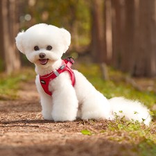 Small Dog Breathable Mesh Harness Soft Puppy Vest Chest Strap XXXS-L SGS UK