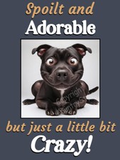 Staffy Staffordshire Bull