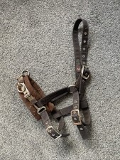 Cottage Craft Lunge Cavesson -