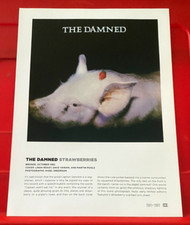 The Damned Strawberries Album Cover Art PICTURE / PRINT 12"x 9"