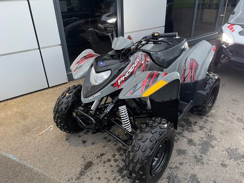 Polaris phoenix 200 - youth, quad