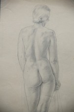 Standing Female Nude Drawing