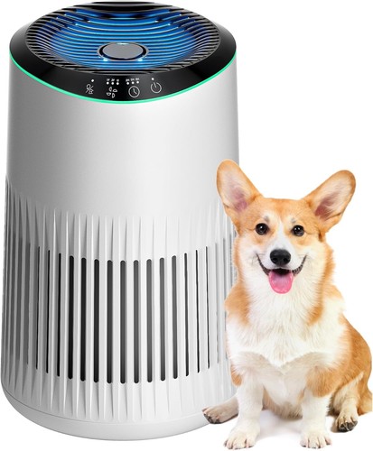 Air purifiers for - purifiers, home