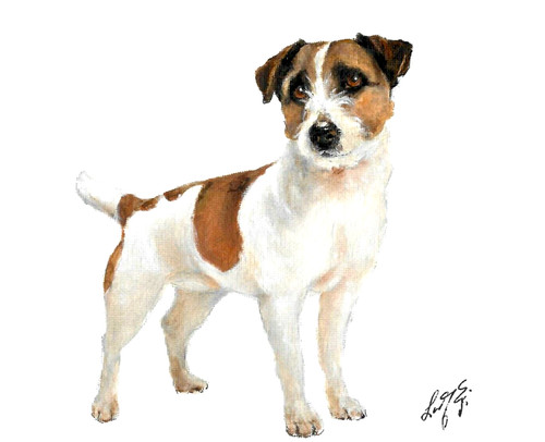 Original oil portrait - ✤,