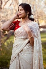 Georgette silk saree indian