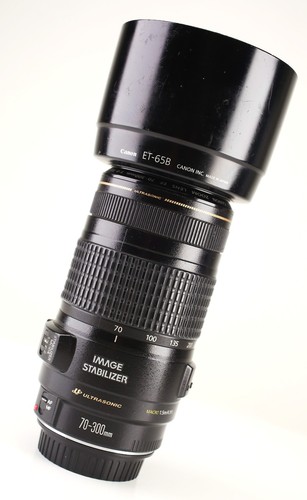 Canon 300mm image - canon, 70-300mm