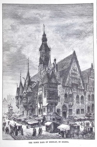 1876 the town - town, of