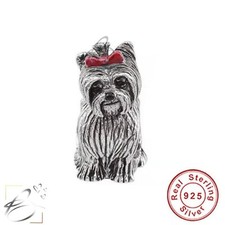 💖 Yorkshire Terrier Charm