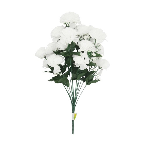 Carnation bouquet - xl,