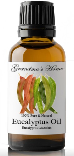 Eucalyptus essential oil - essential,
