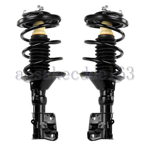 Front pair complete shocks - front,