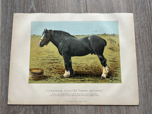 1890s colour print - colour,