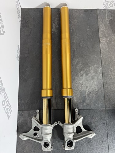 Aprilia tuono 1100 - aprilia,
